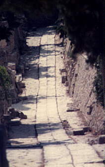 Cnossus photo